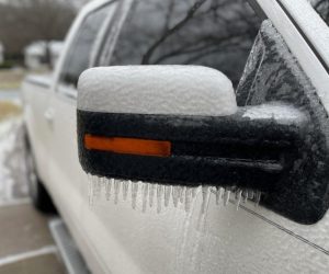 Bird Kultgen Ice warning advice