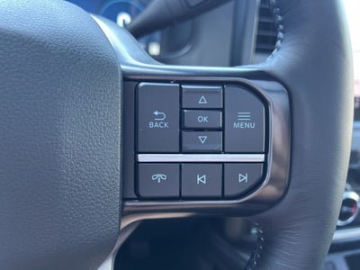 2026 Ford Super Duty F-250SD Platinum