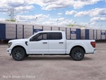 2026 Ford F-150 STX Fleet
